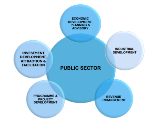 Public Sector